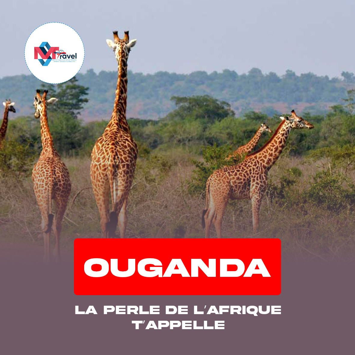 Ouganda ðÂÂºðÂÂ¬